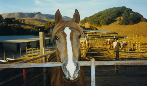 Ziggy-Here's lookin' at you!