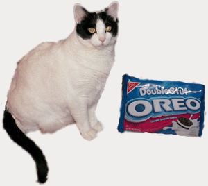 Oreo